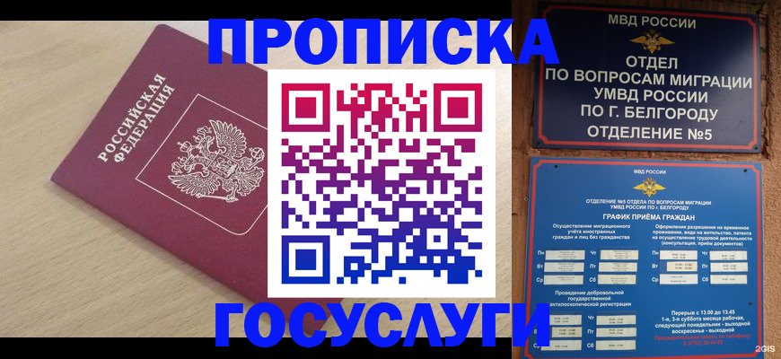 прописка законно в Жуковке